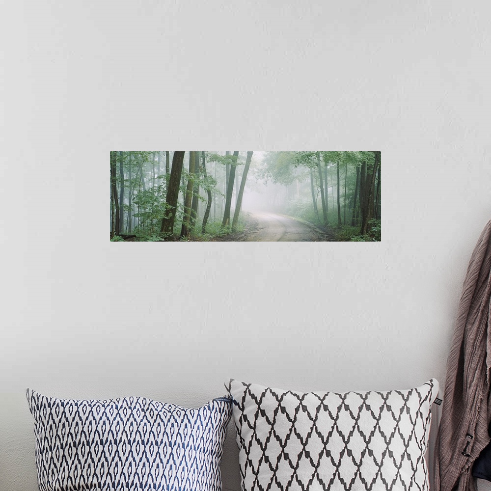 A bohemian room featuring Wall decor of a road running through a dense forest with fog looming around.