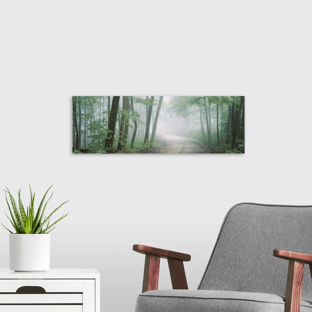 A modern room featuring Wall decor of a road running through a dense forest with fog looming around.