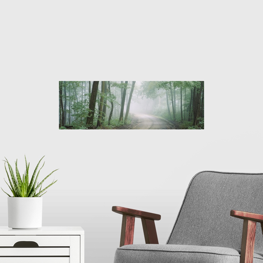 A modern room featuring Wall decor of a road running through a dense forest with fog looming around.