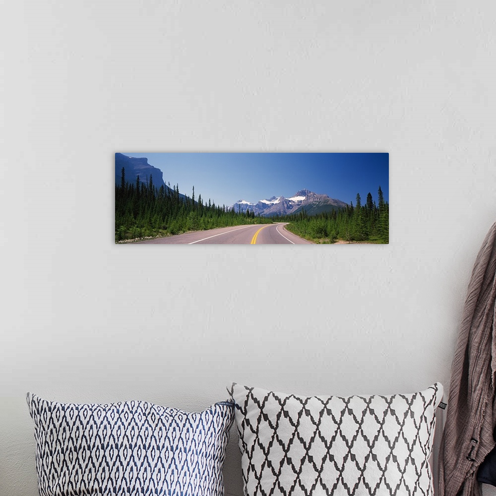 A bohemian room featuring Road passing through a forest, Trans Canada Highway, Banff National Park, Alberta, Canada