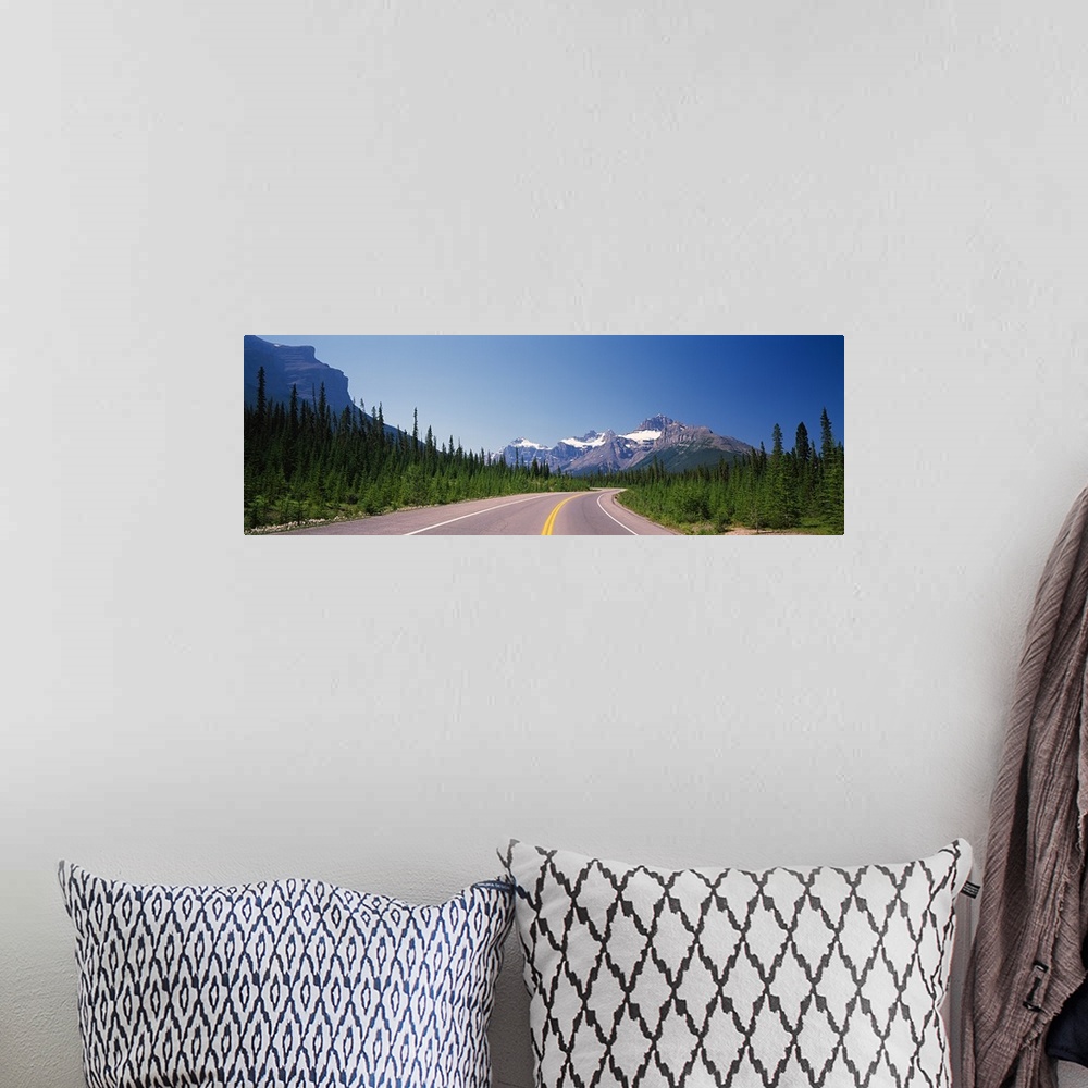 A bohemian room featuring Road passing through a forest, Trans Canada Highway, Banff National Park, Alberta, Canada