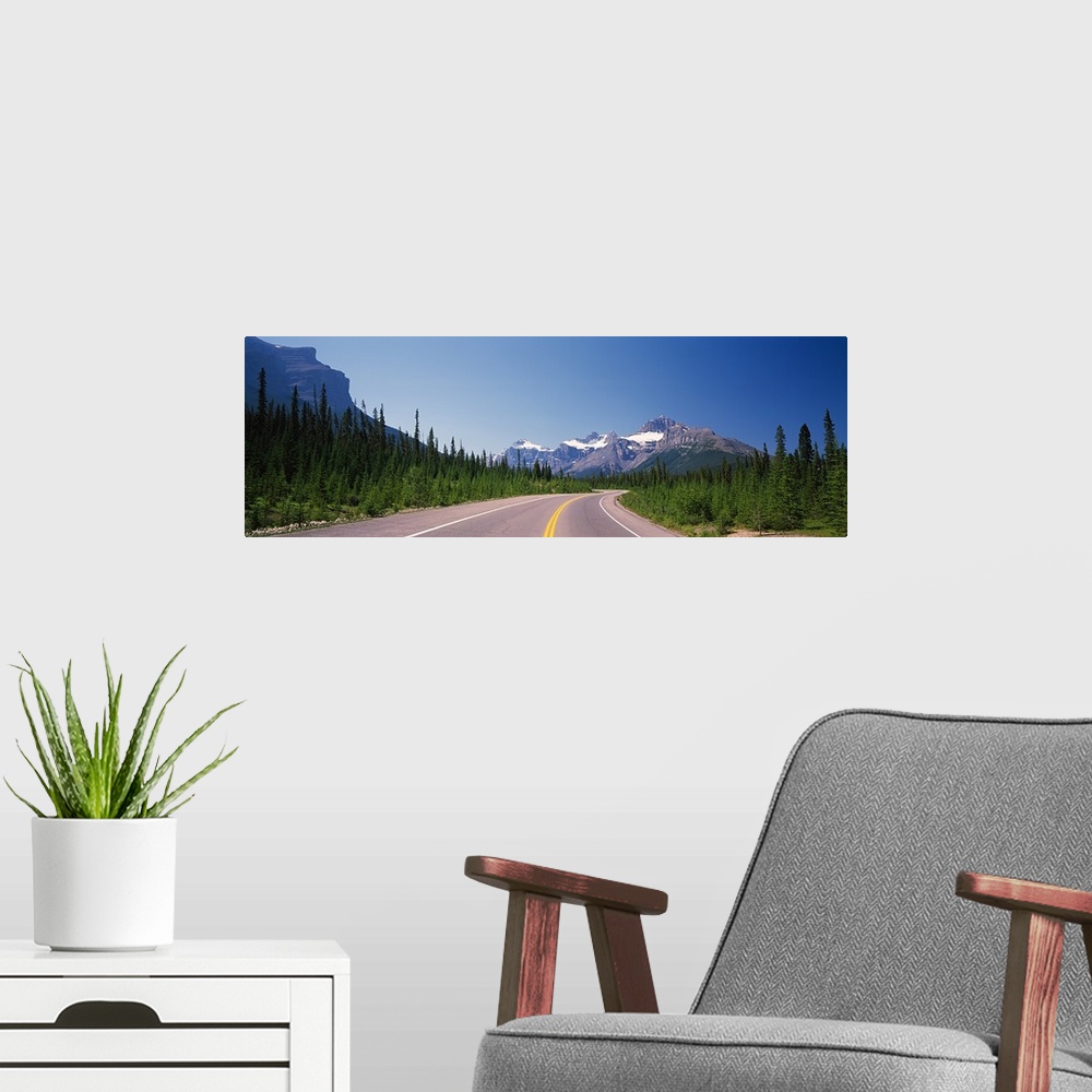 A modern room featuring Road passing through a forest, Trans Canada Highway, Banff National Park, Alberta, Canada