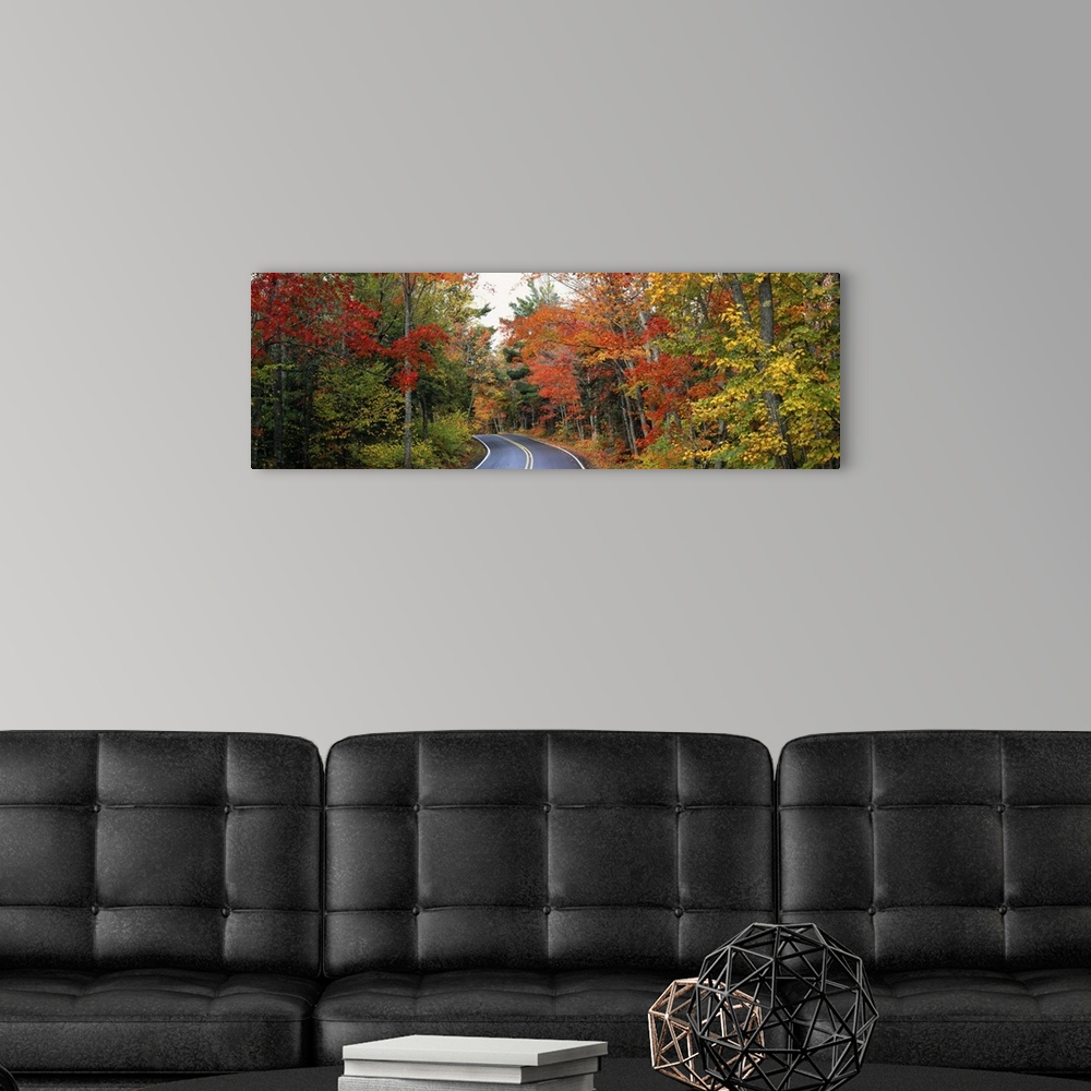 A modern room featuring Road passing through a forest, U.S. Route 41, Keweenaw County, Keweenaw Peninsula, Michigan