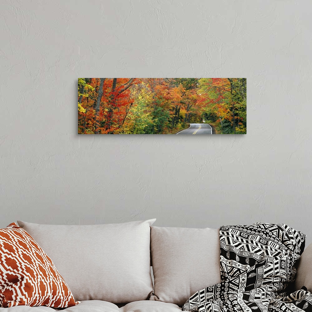 A bohemian room featuring A two way street is photographed in panoramic view with colorful trees lining both sides.