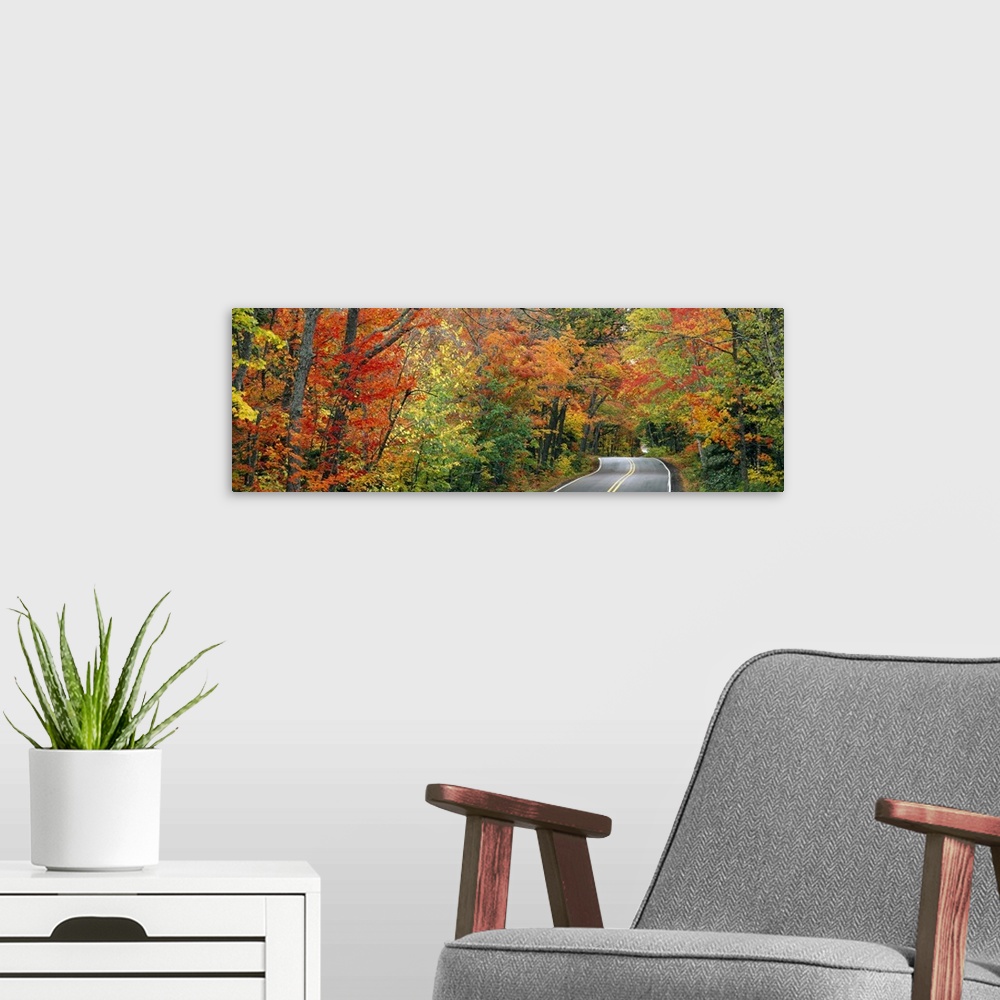 A modern room featuring A two way street is photographed in panoramic view with colorful trees lining both sides.