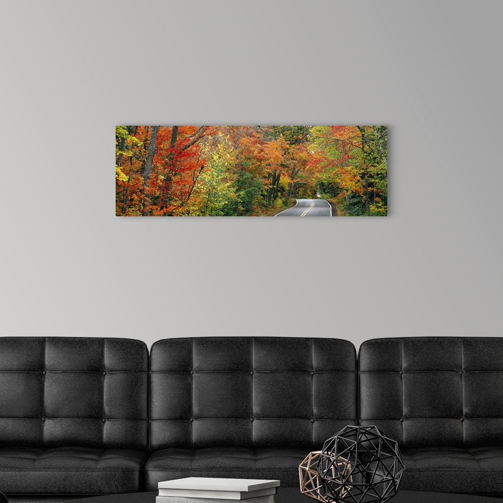A modern room featuring A two way street is photographed in panoramic view with colorful trees lining both sides.