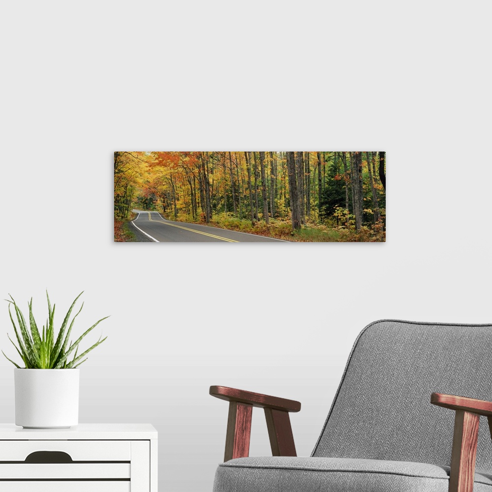 A modern room featuring Road passing through a forest, U.S. Route 41, Keweenaw County, Keweenaw Peninsula, Michigan