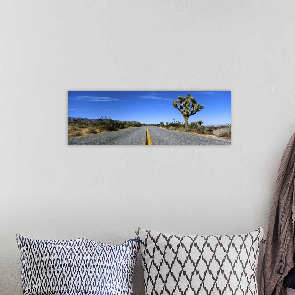 A bohemian room featuring Road passing through a landscape, Mojave Desert, Joshua Tree National Monument, California