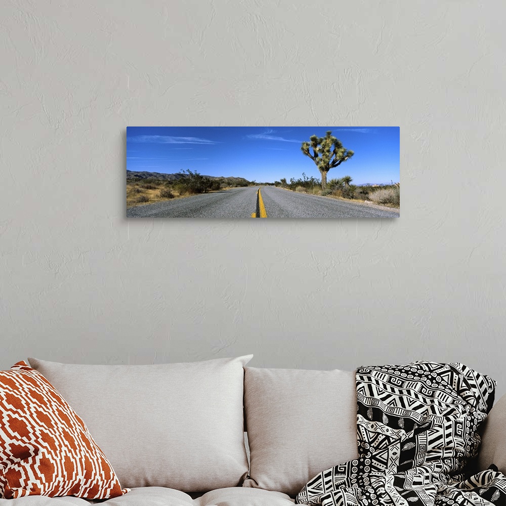 A bohemian room featuring Road passing through a landscape, Mojave Desert, Joshua Tree National Monument, California