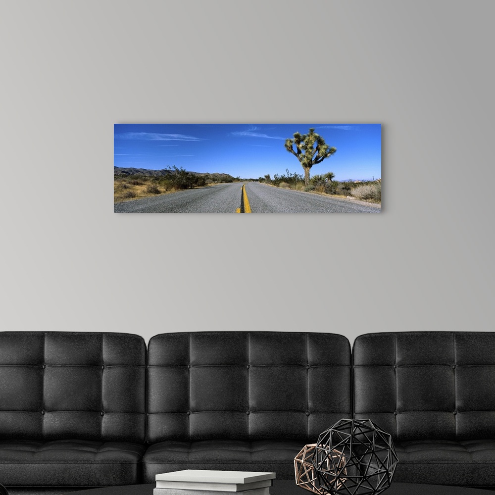 A modern room featuring Road passing through a landscape, Mojave Desert, Joshua Tree National Monument, California
