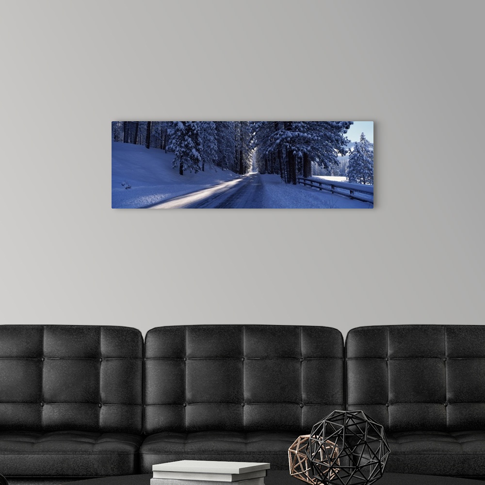 A modern room featuring Road passing through a landscape, Wawona, Yosemite National Park, California