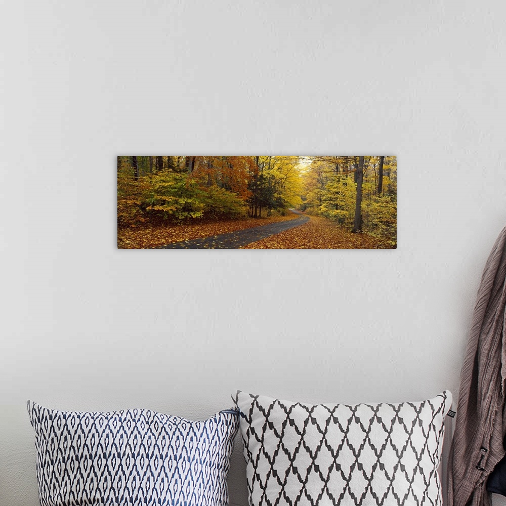 A bohemian room featuring Panoramic photograph on a large canvas of a winding path leading through a forest of fall foliage...