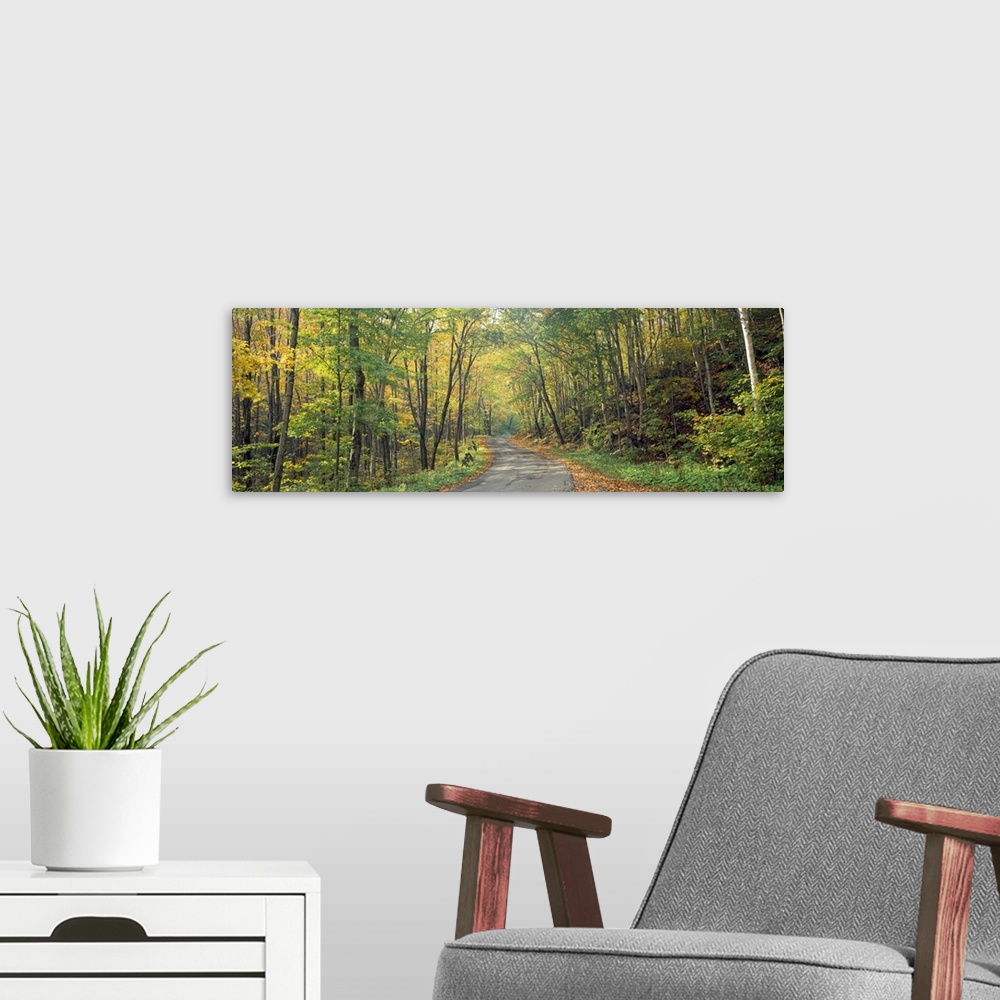 A modern room featuring Wide angle photograph on a big canvas of a Golf Link Road leading into a dense forest of fall fol...