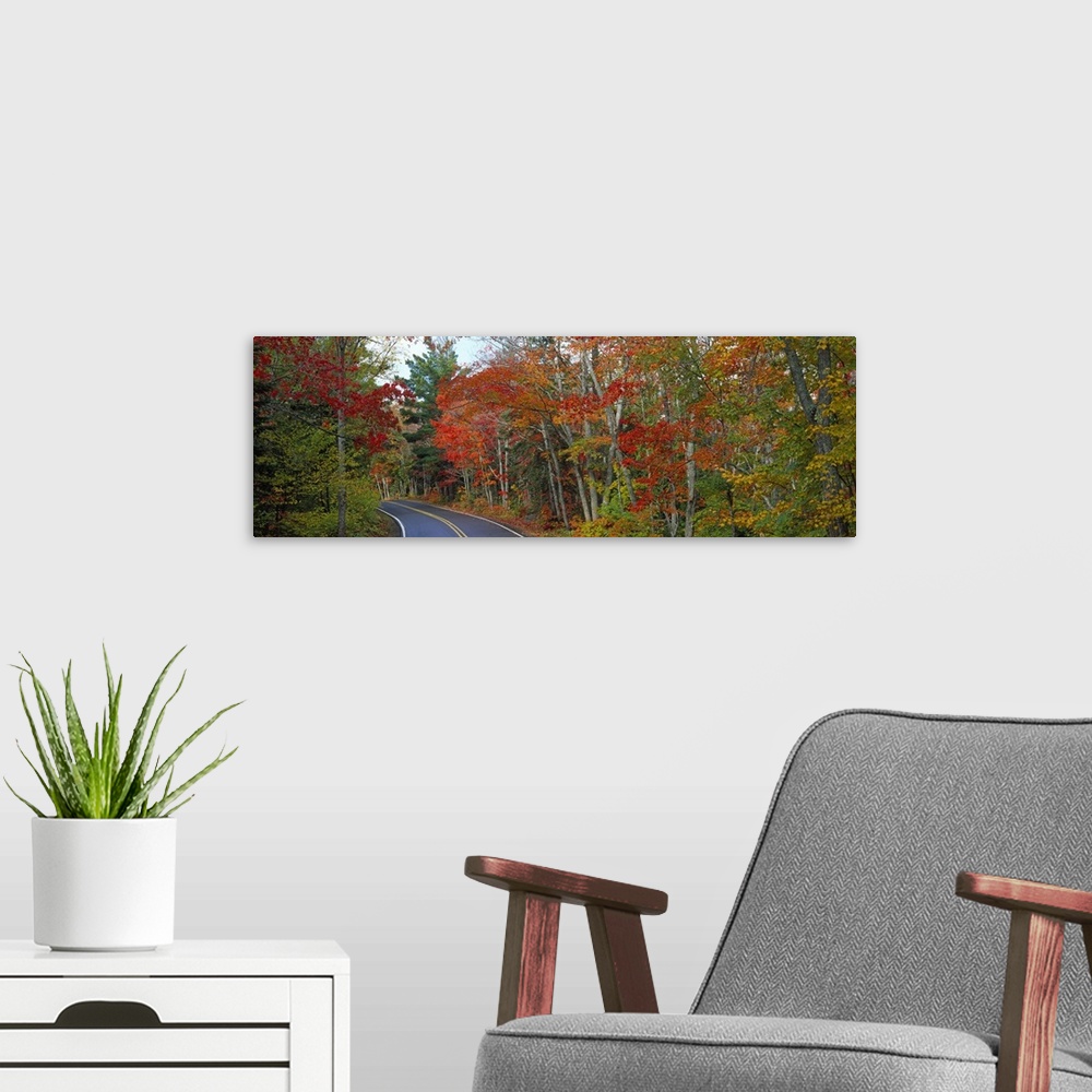 A modern room featuring Road passing through autumn forest, U.S. Route 41, Keweenaw Peninsula, Michigan,
