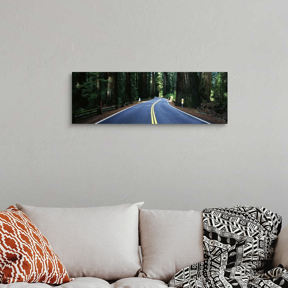 A bohemian room featuring Road winding through redwood forest, Highway 101 , California