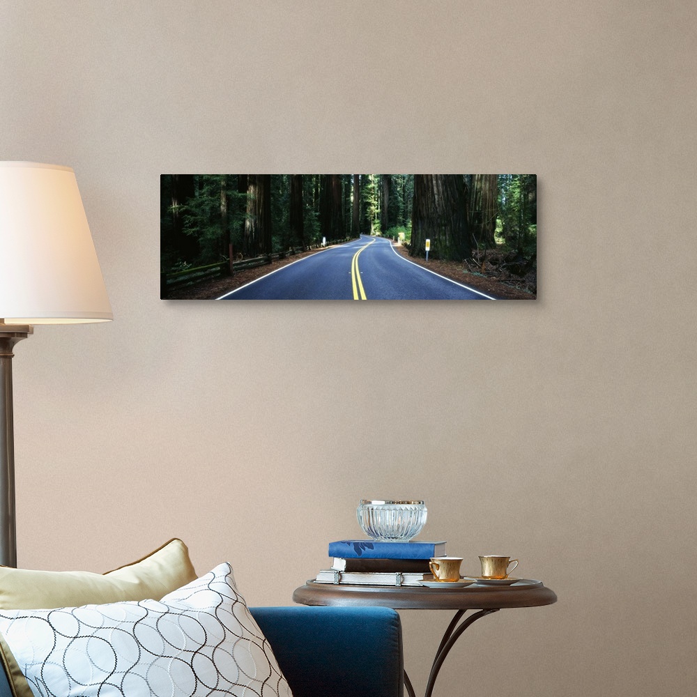 A traditional room featuring Road winding through redwood forest, Highway 101 , California