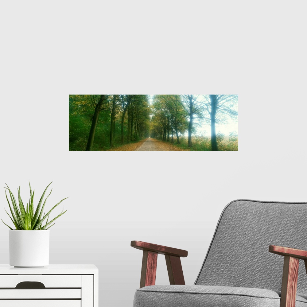 A modern room featuring Road with Fog, France