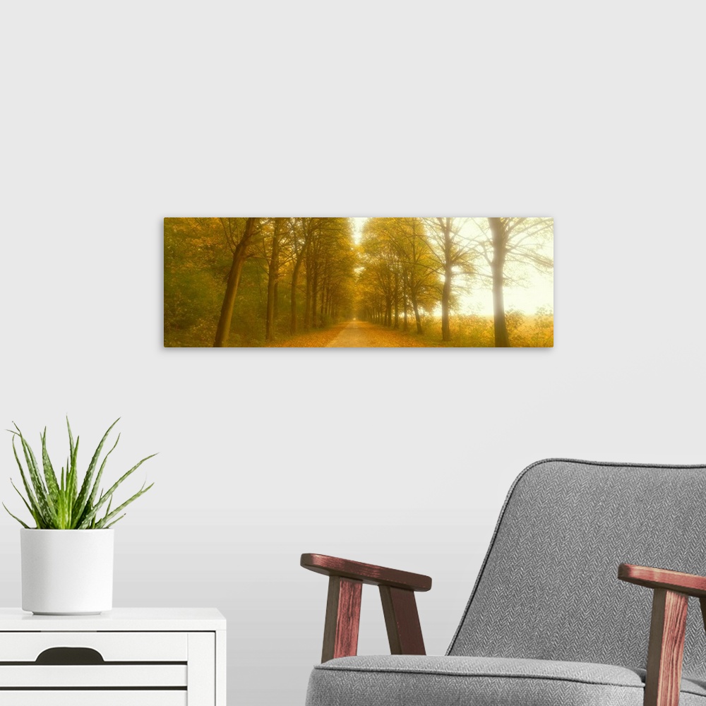 A modern room featuring Road with Fog France