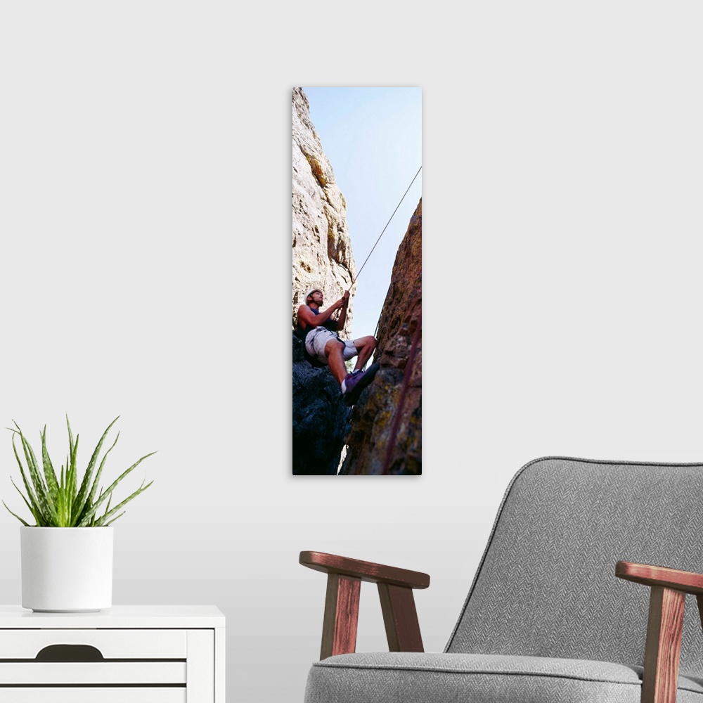 A modern room featuring Rock climber, Rocky Mountain National Park, Colorado