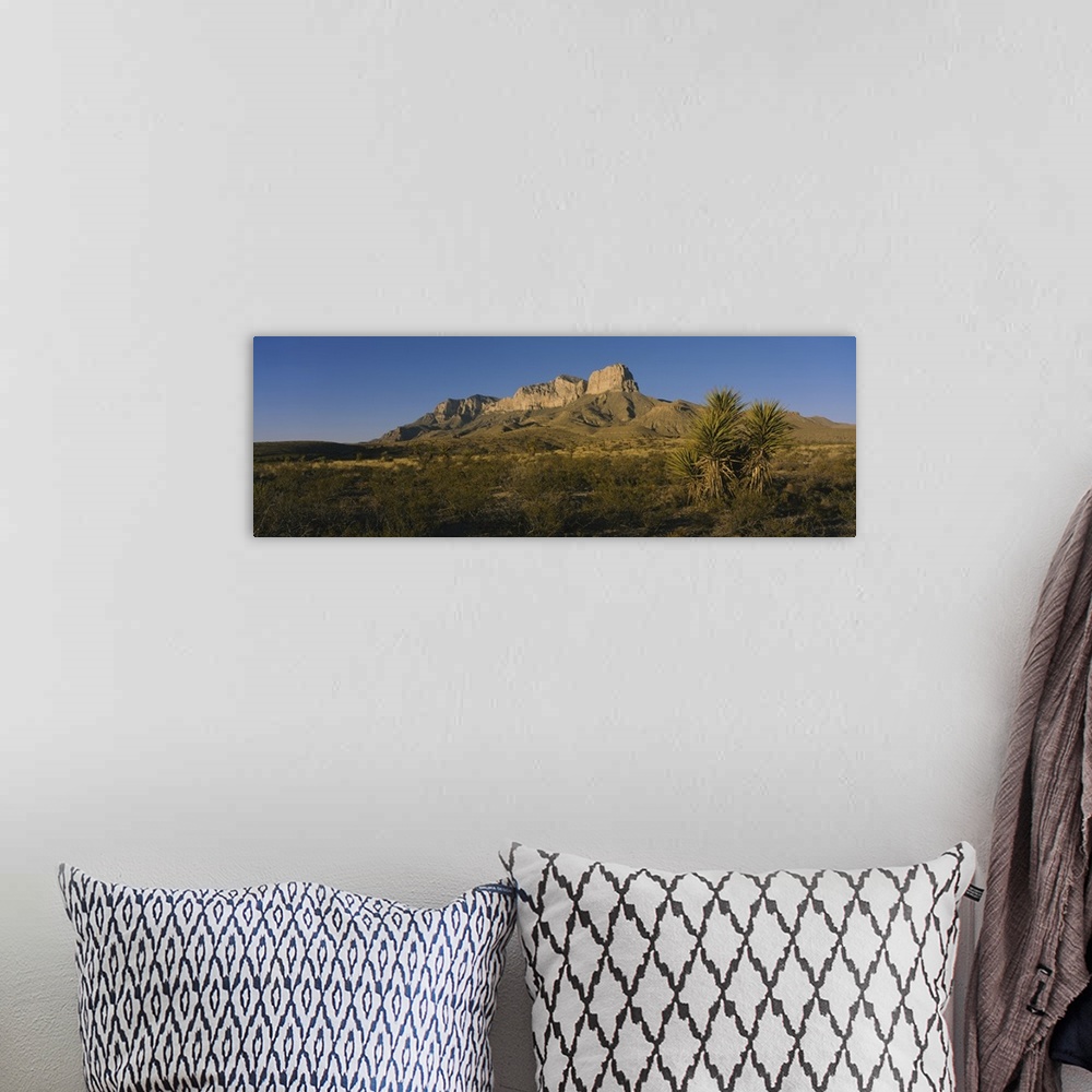 A bohemian room featuring Rock formations on a landscape, Guadalupe Mountains National Park, Texas