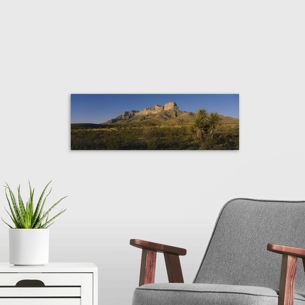A modern room featuring Rock formations on a landscape, Guadalupe Mountains National Park, Texas