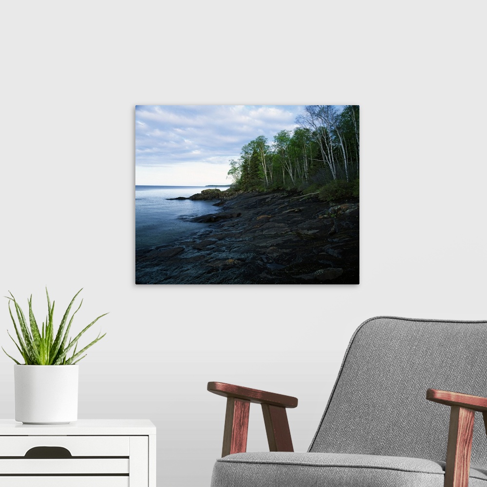 A modern room featuring Large photograph shows a dense forest next to the rocky shore of a large body of water within the...