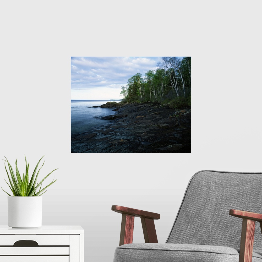A modern room featuring Large photograph shows a dense forest next to the rocky shore of a large body of water within the...
