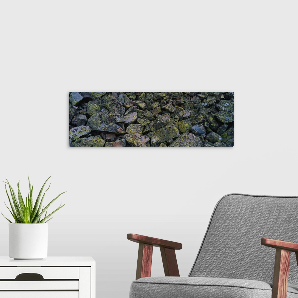 A modern room featuring Rocks Covered with Lichen