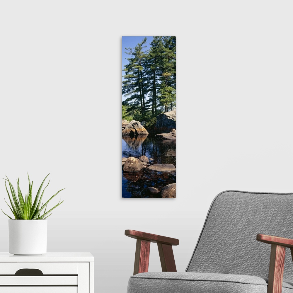 A modern room featuring Rocks in a river, Moose River, Adirondack Mountains, New York State