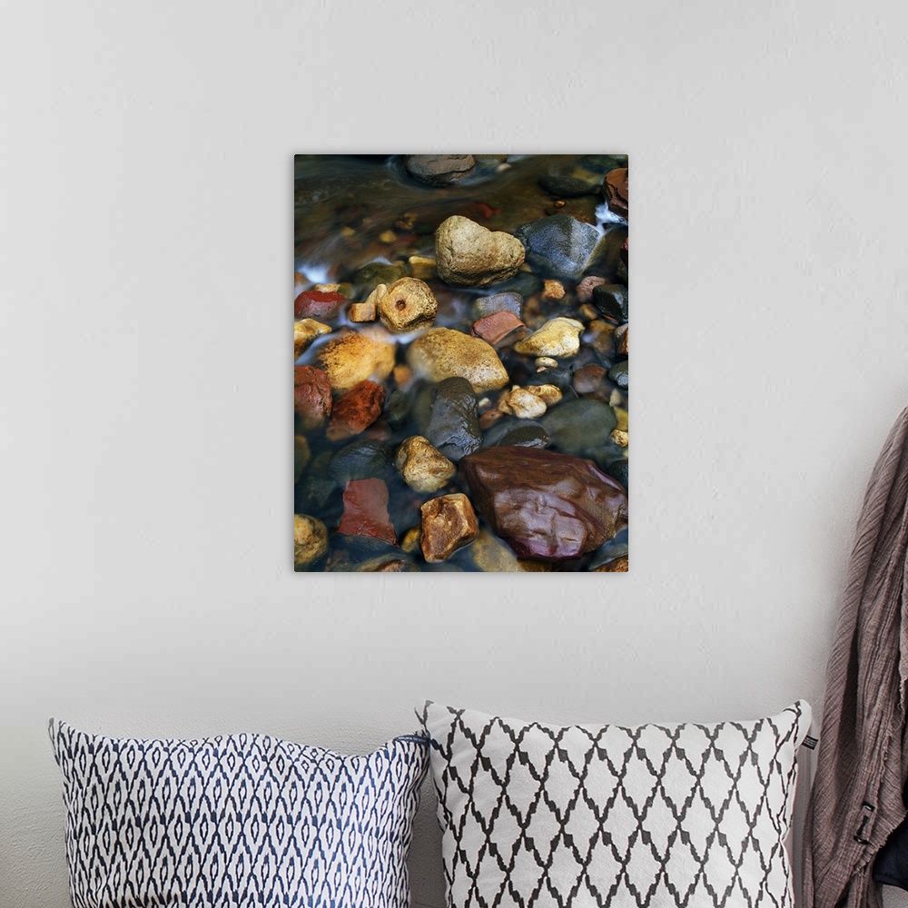 A bohemian room featuring Rocks in shallow Oak Creek, close up, Coconino National Forest, Arizona