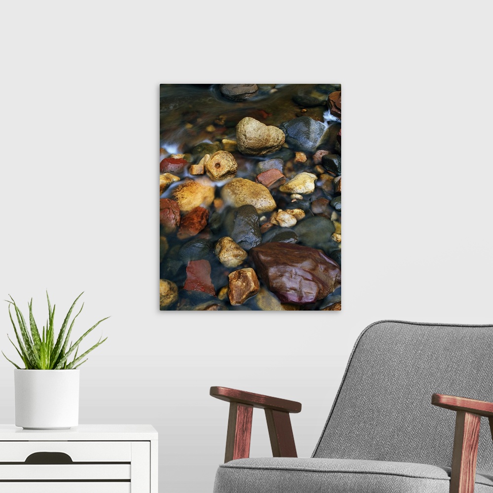 A modern room featuring Rocks in shallow Oak Creek, close up, Coconino National Forest, Arizona