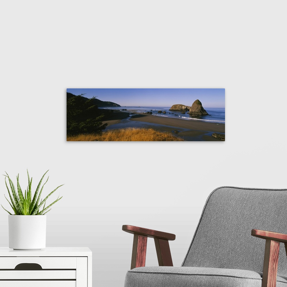 A modern room featuring Wide angle photograph looking over grasses to the shoreline on Cannon Beach, large rocks jutting ...