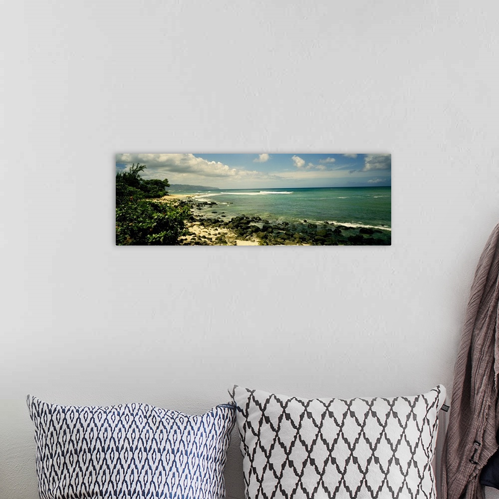A bohemian room featuring This photograph is a sandy beach punctuated with small volcanic boulders and encroaching tropical...