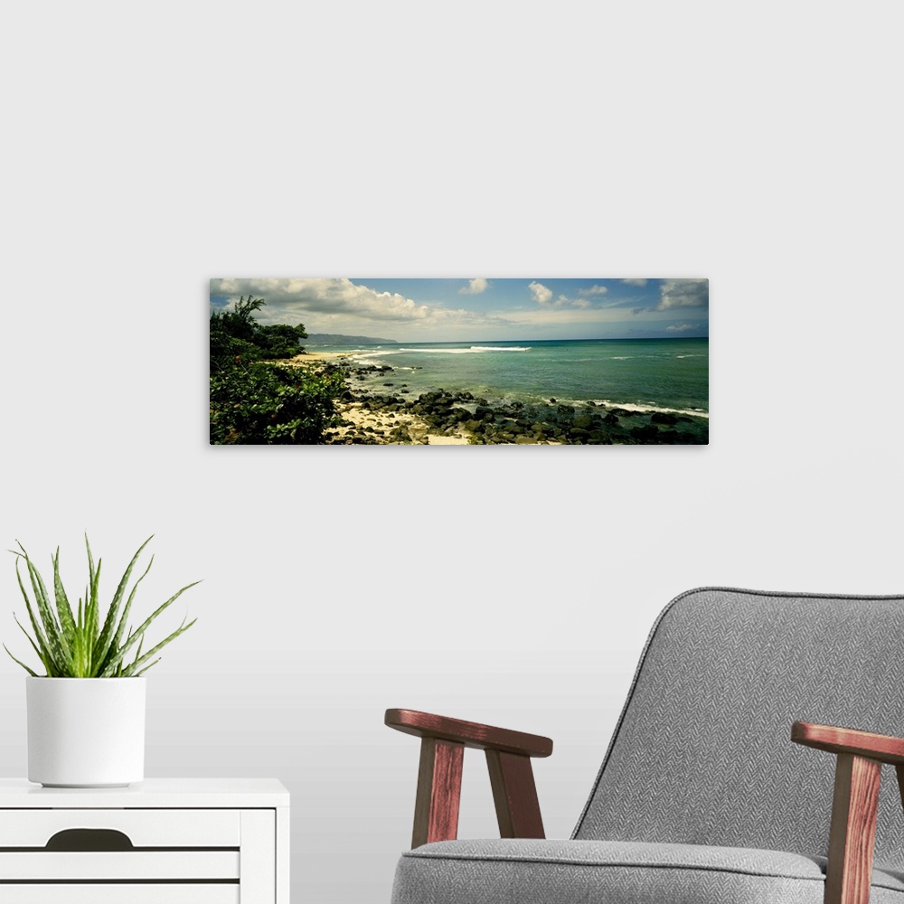 A modern room featuring This photograph is a sandy beach punctuated with small volcanic boulders and encroaching tropical...
