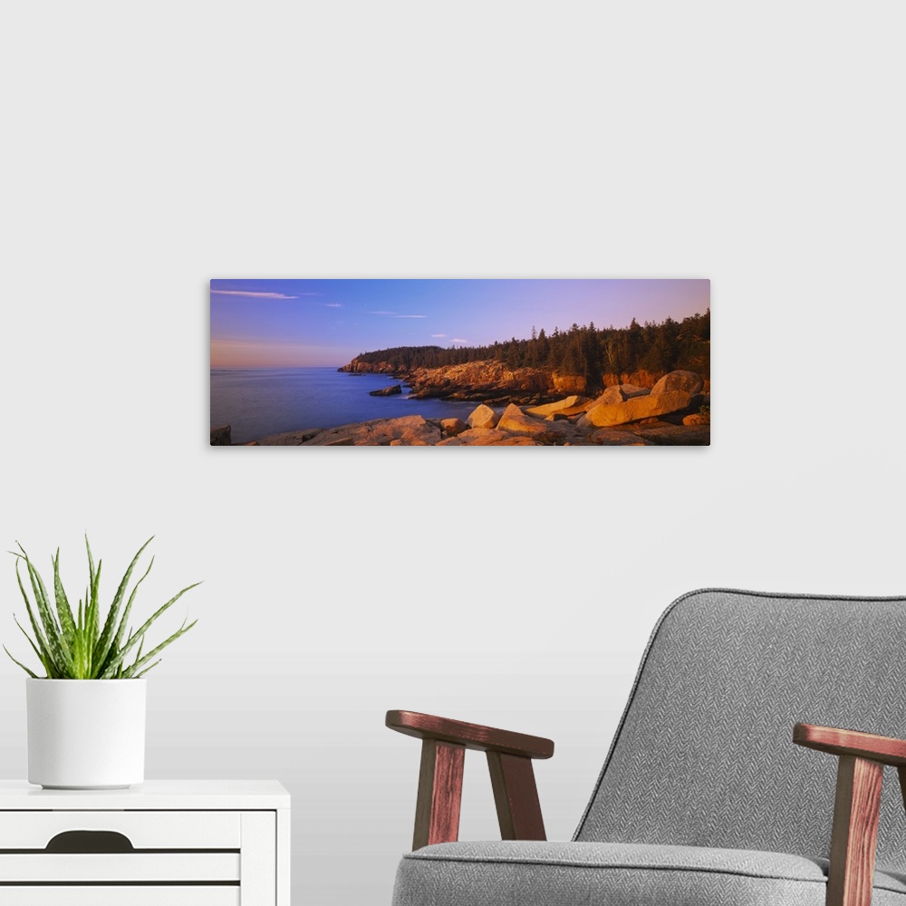 A modern room featuring Wide angle photograph of the rocky shoreline, surrounded by trees at sunset, in Acadia National P...