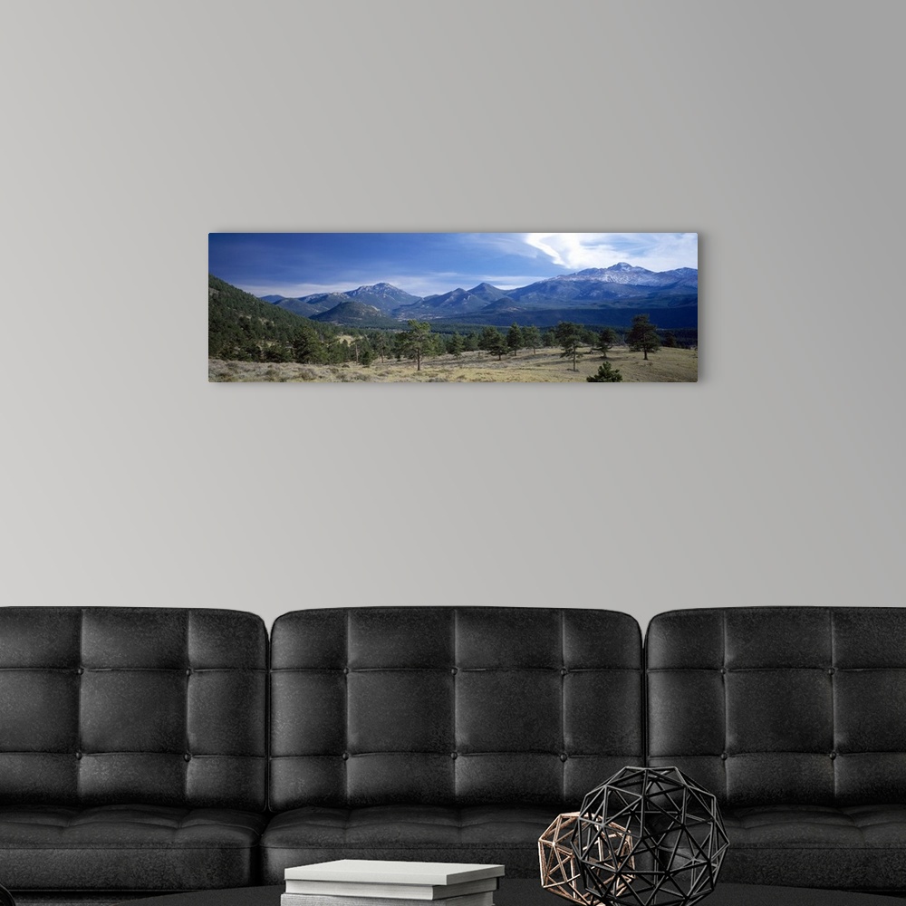 A modern room featuring Rocky Mountain National Park CO