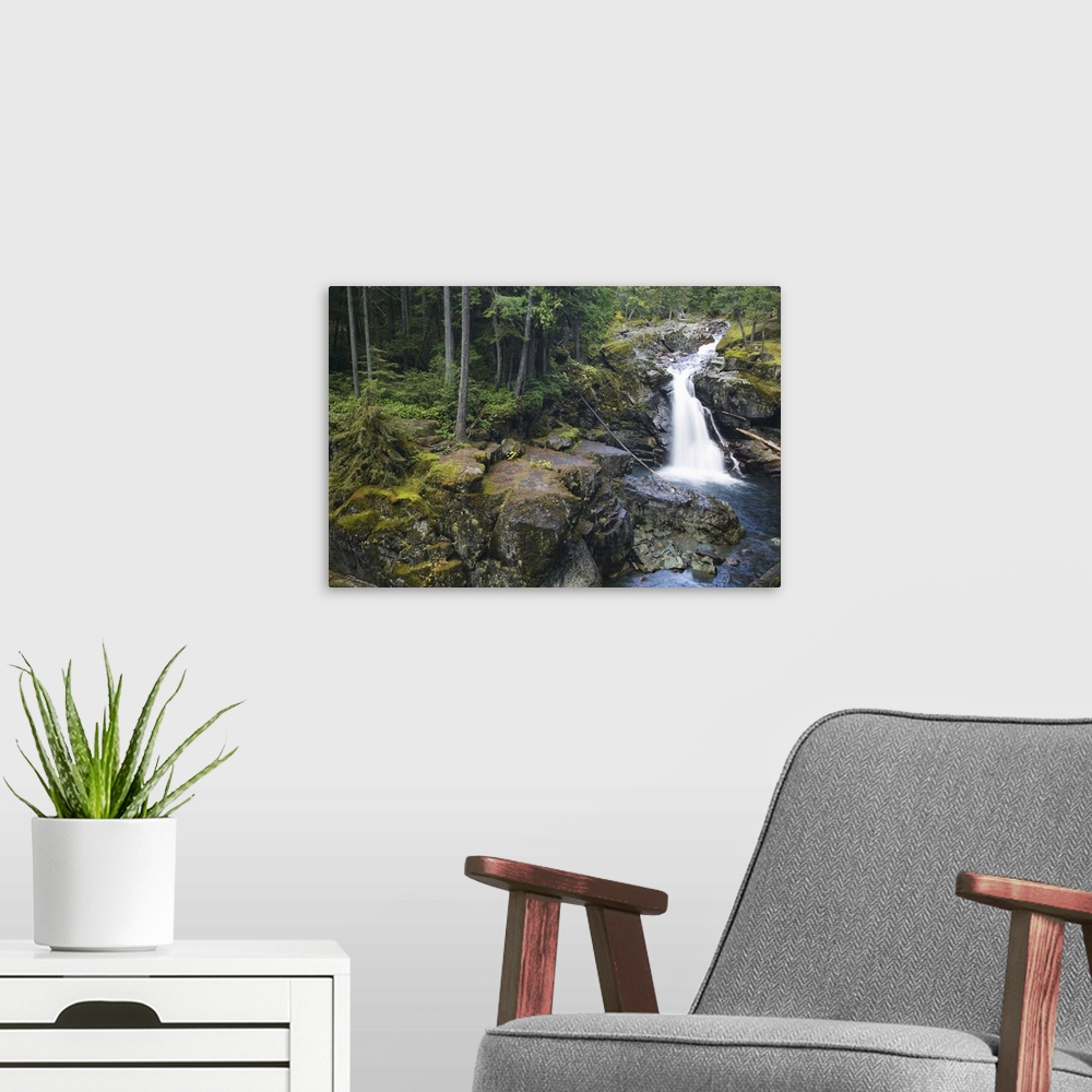 A modern room featuring Rocky Silver Falls, Mount Rainier National Park, Washington