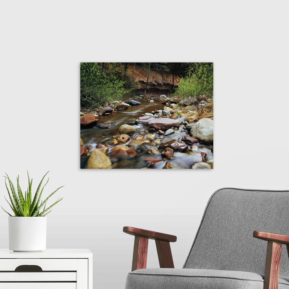 A modern room featuring Large, landscape photograph of many colorful rocks along  Oak Creek, surrounded by brush in Oak C...