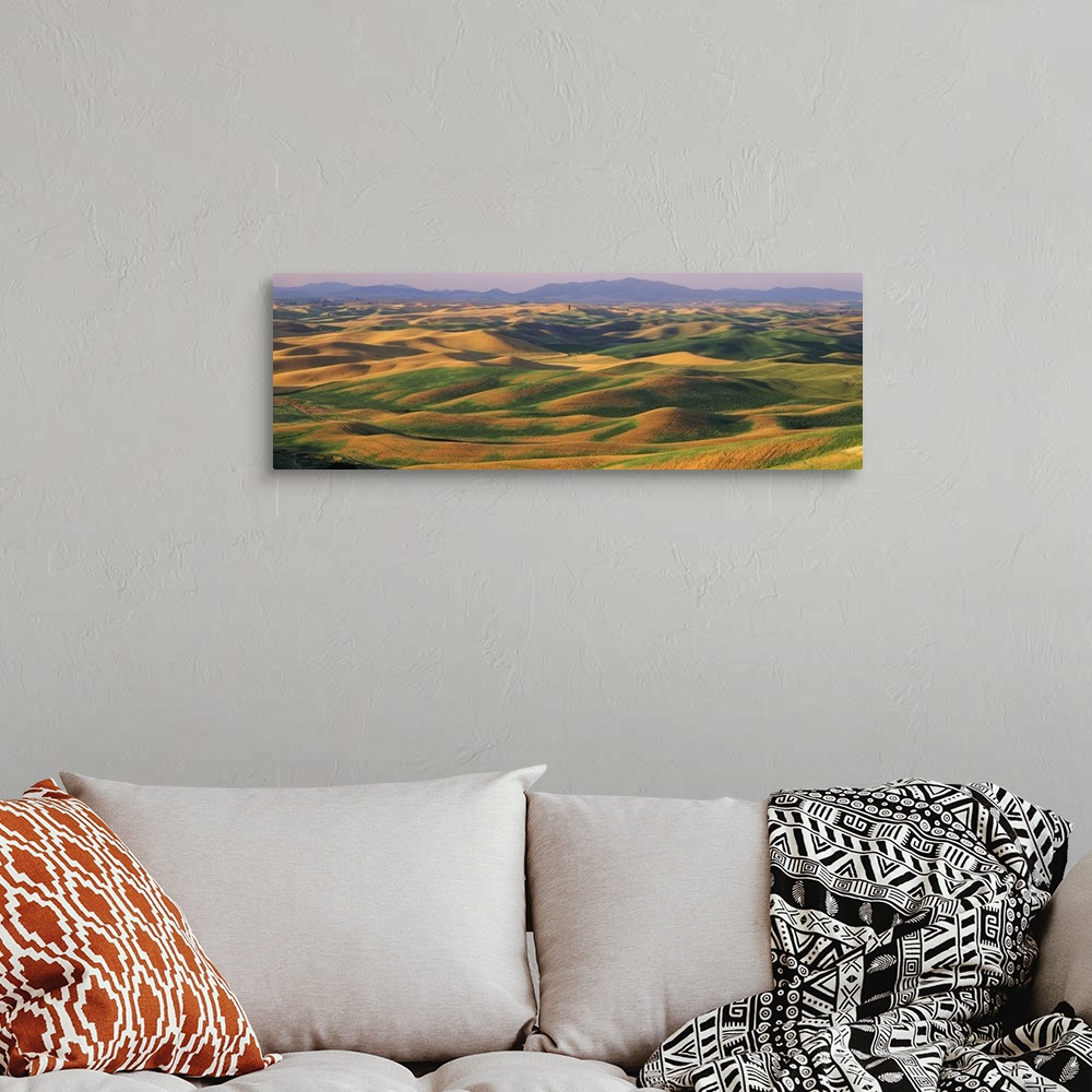 A bohemian room featuring Rolling landscape with mountains in the background, Steptoe Butte State Park, Palouse, Whitman Co...