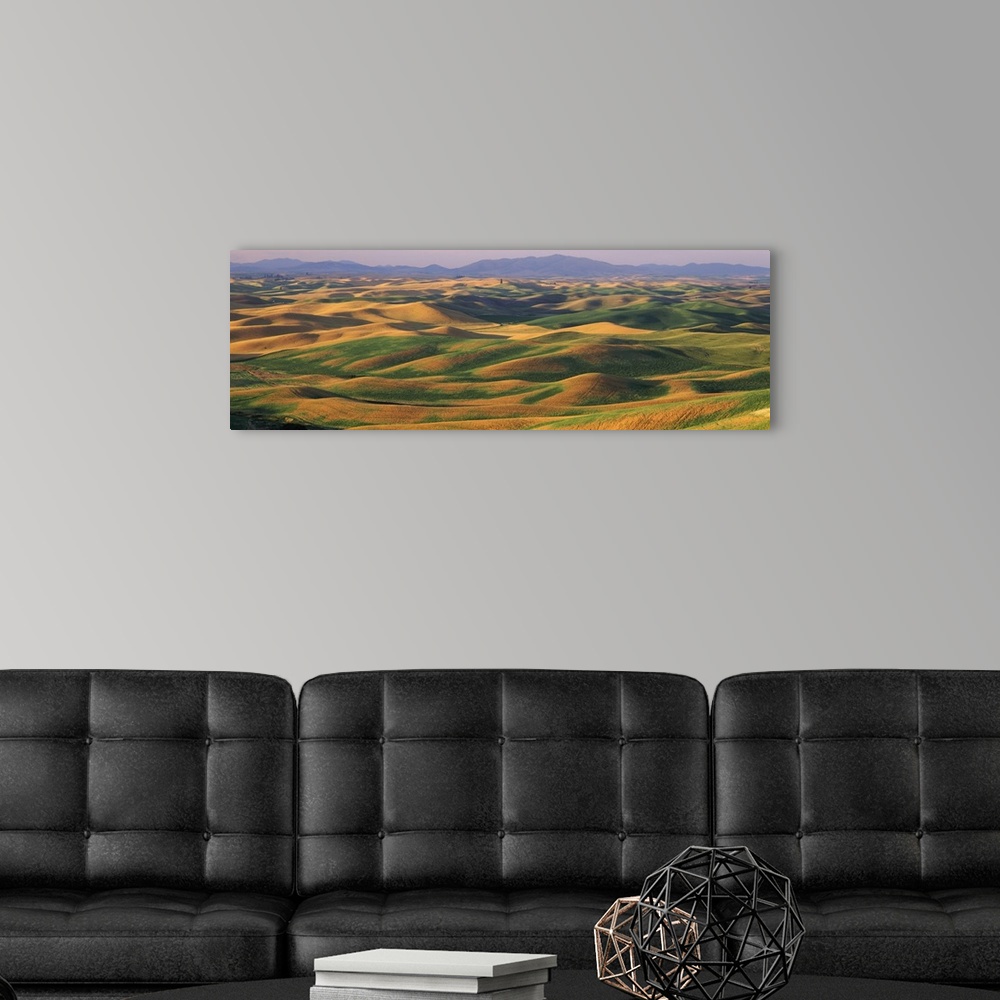 A modern room featuring Rolling landscape with mountains in the background, Steptoe Butte State Park, Palouse, Whitman Co...