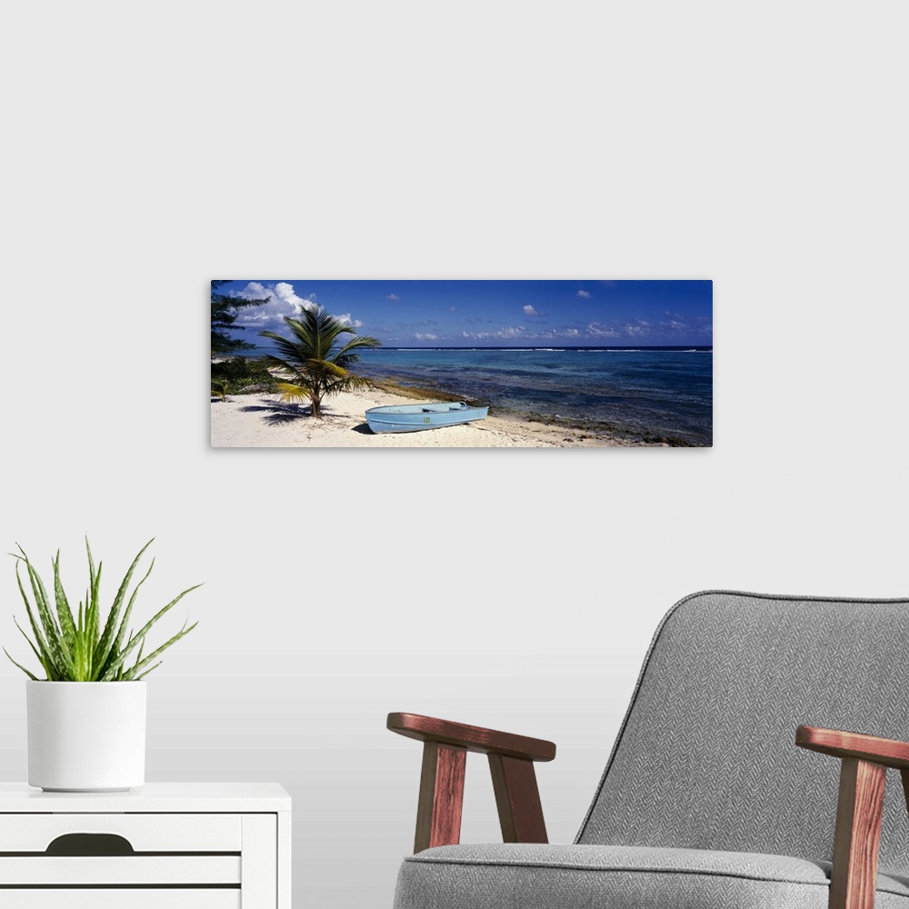 A modern room featuring A single boat resting on the sandy shore next to a young palm tree and the tropical ocean water i...