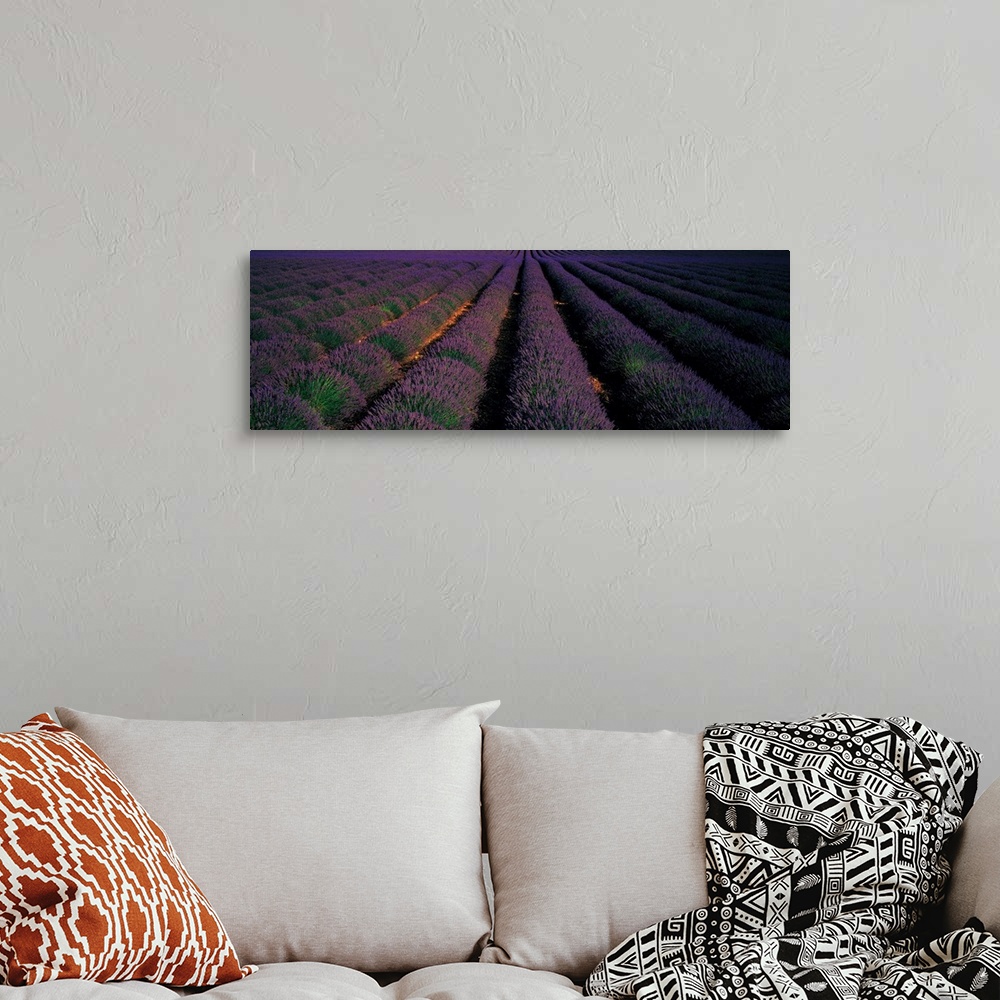 A bohemian room featuring Rows Lavender Field Valensole Provence France