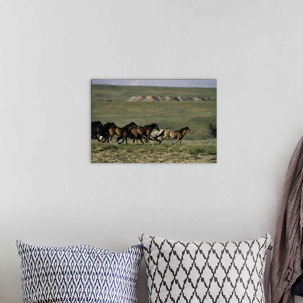 A bohemian room featuring A herd of horses are photographed running across an open field.
