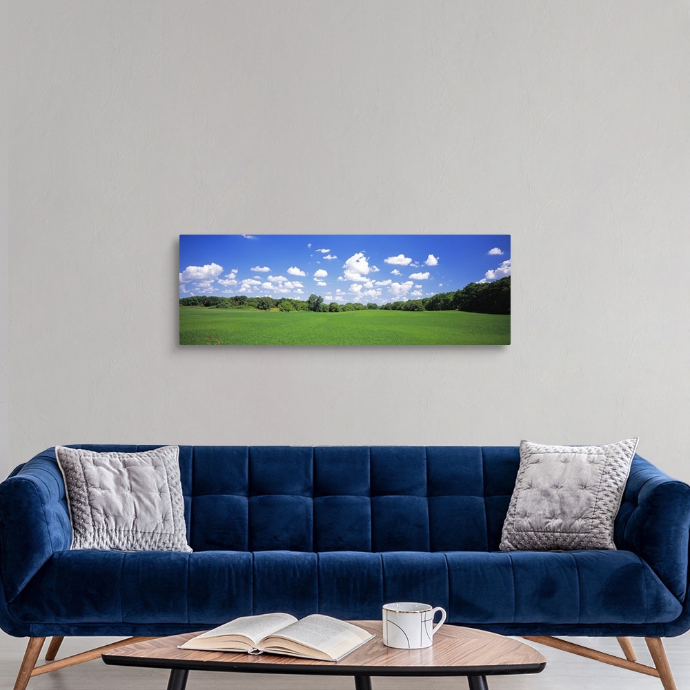 A modern room featuring Rural Field WI