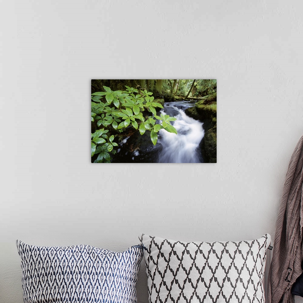 A bohemian room featuring Photograph taken of rushing water that serves as a background to a branch of leaves in the forefr...