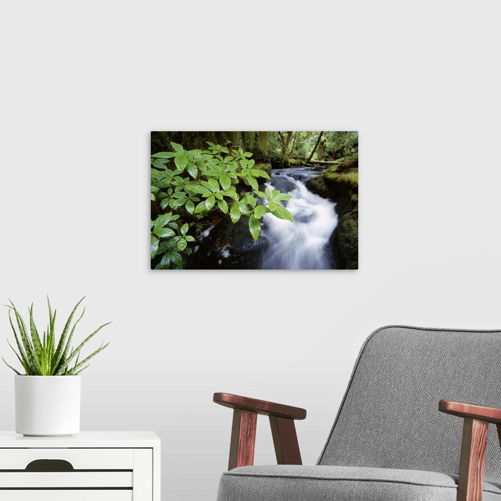 A modern room featuring Photograph taken of rushing water that serves as a background to a branch of leaves in the forefr...