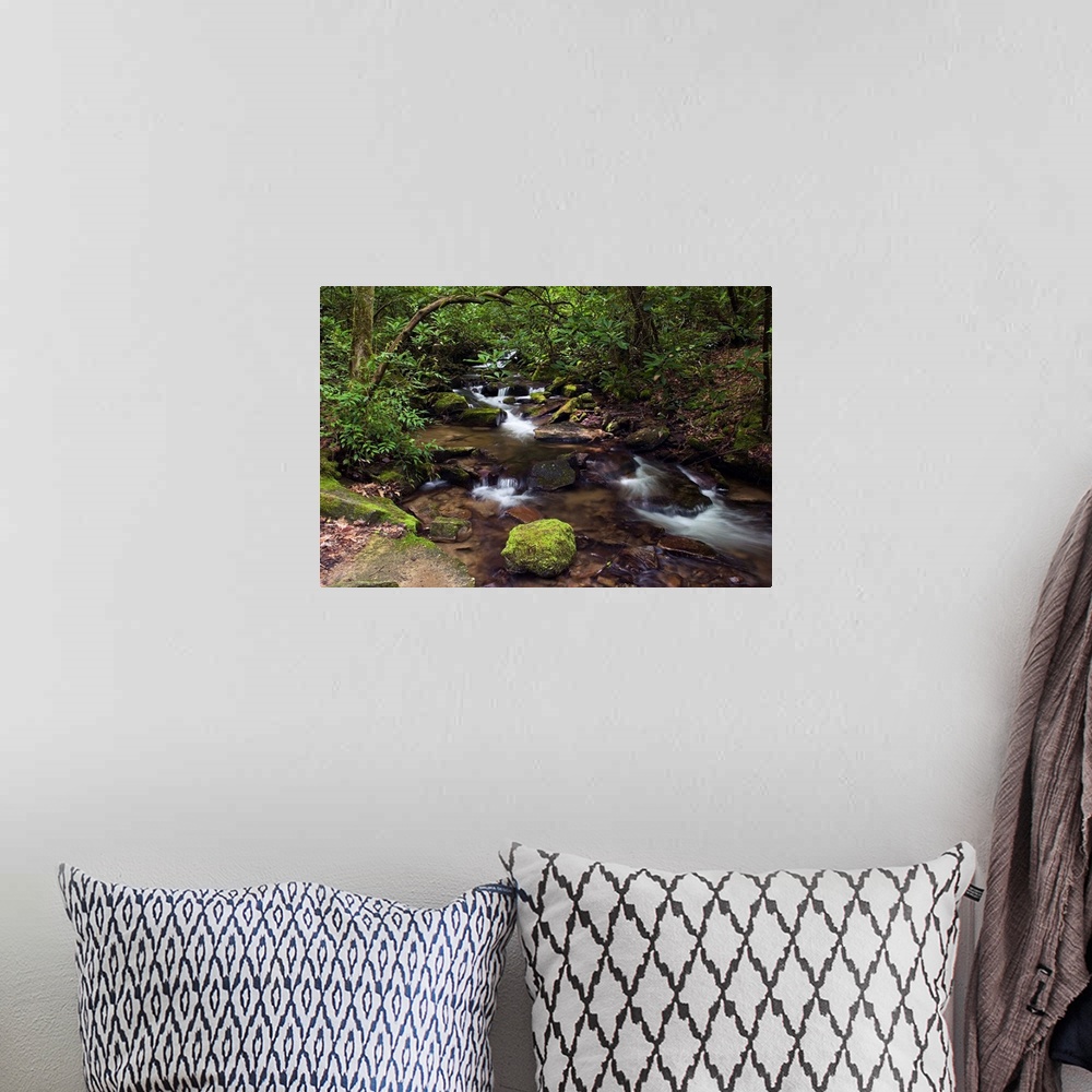 A bohemian room featuring Panoramic photograph of rocky creek running through forest with moss covered rocks.
