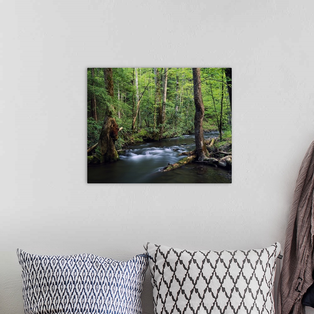 A bohemian room featuring Large artwork of a thick forest with a stream flowing through the trees and foliage.