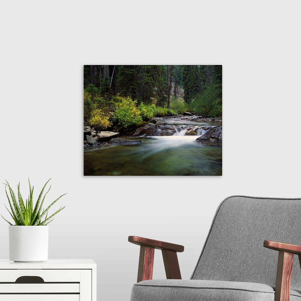 A modern room featuring Rushing water of Cascade Creek, Grand Teton National Park, Wyoming