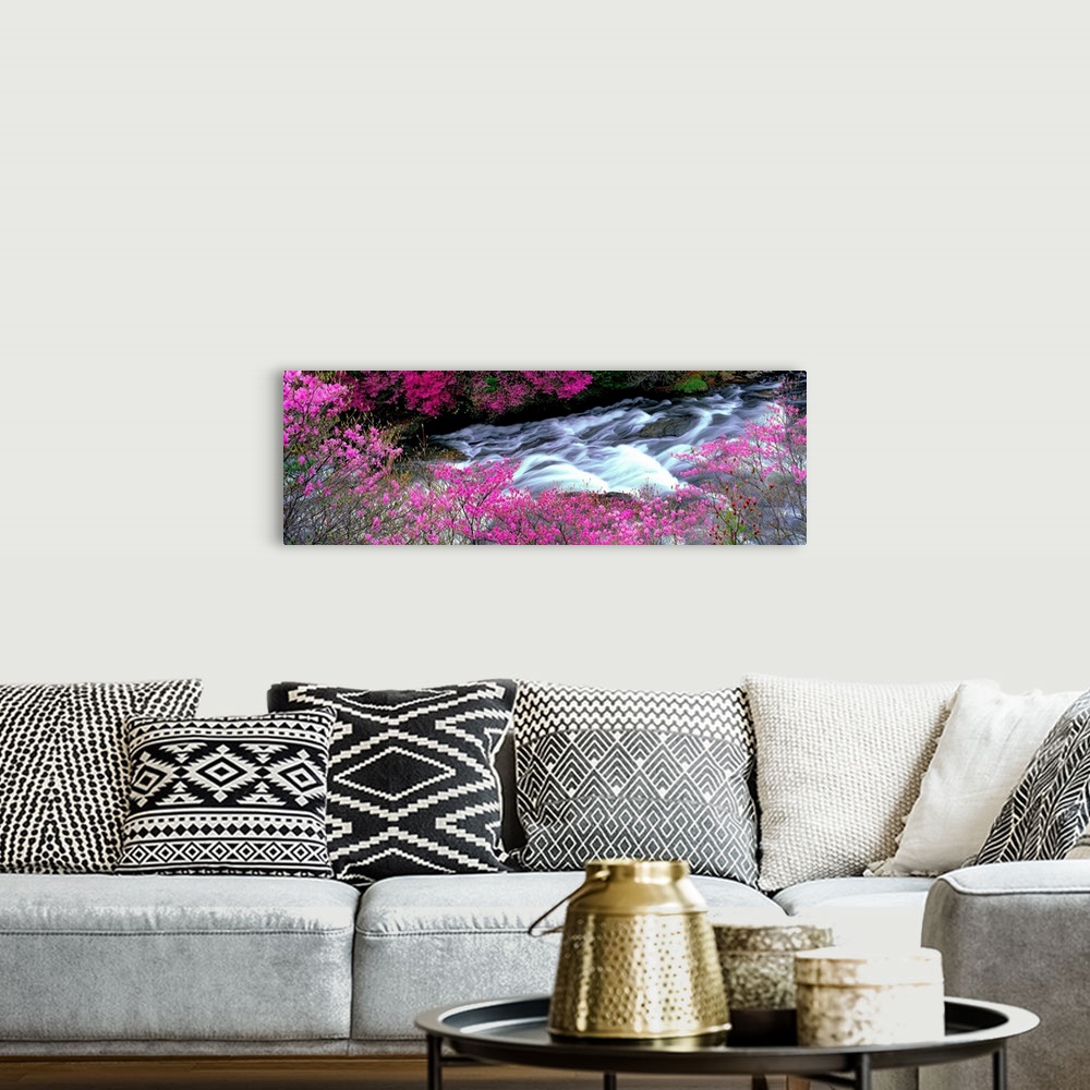 A bohemian room featuring A panoramic of a river lined with spring flower blossoms photographed with time lapsed photograph...